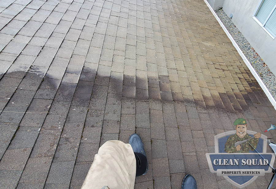 black stains dissolving away away after soft washing a roof